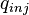  q_{inj} 